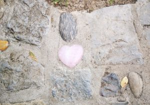 Selbstliebe - Ausbildung