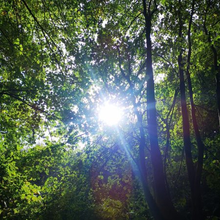 Melissa Becker – Spirituelle Begleitung & Heilung für Dich
