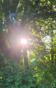 Melissa Becker – Spirituelle Begleitung & Heilung für Dich