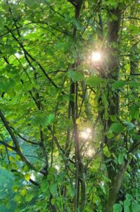 Melissa Becker – Spirituelle Begleitung & Heilung für Dich