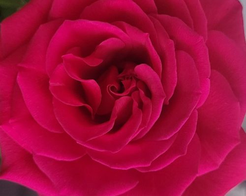 photo_2026-02-11_15-18-39