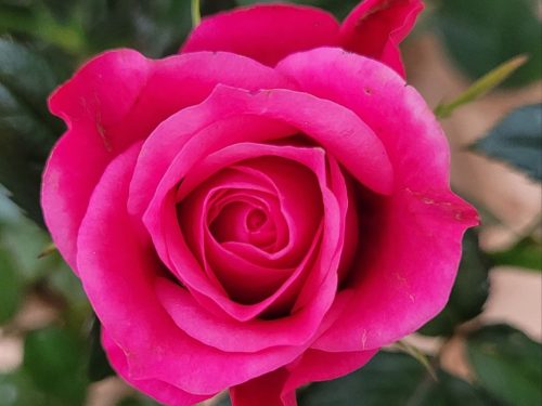 photo_2026-02-11_15-18-47